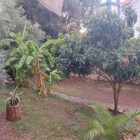 Vitamin Sea Apartamento