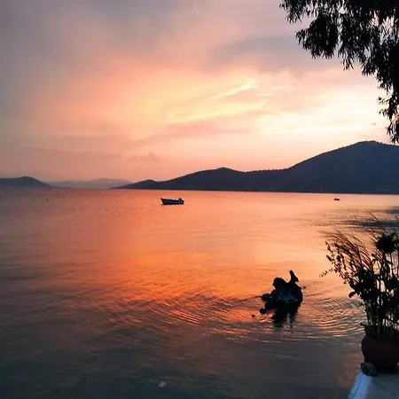 Vitamin Sea Panagia (Karystos, Euboea)