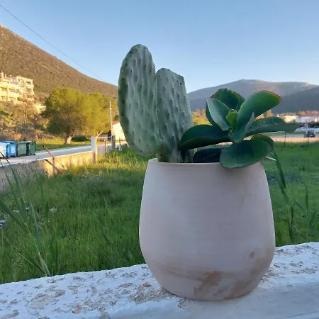 Apartmán Vitamin Sea Panagia (Karystos, Evia)